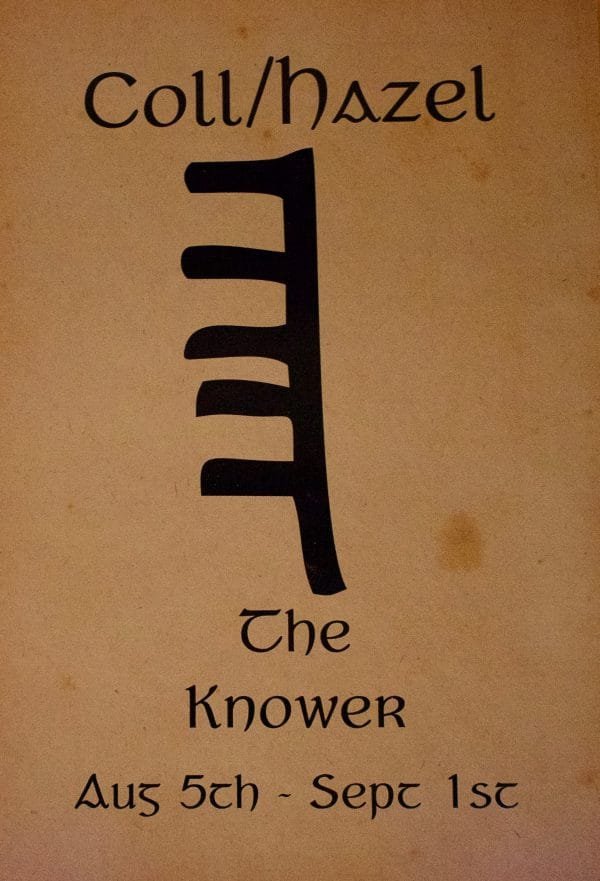 the knower