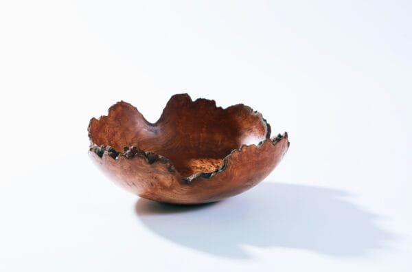 Natural edge Elm bowl